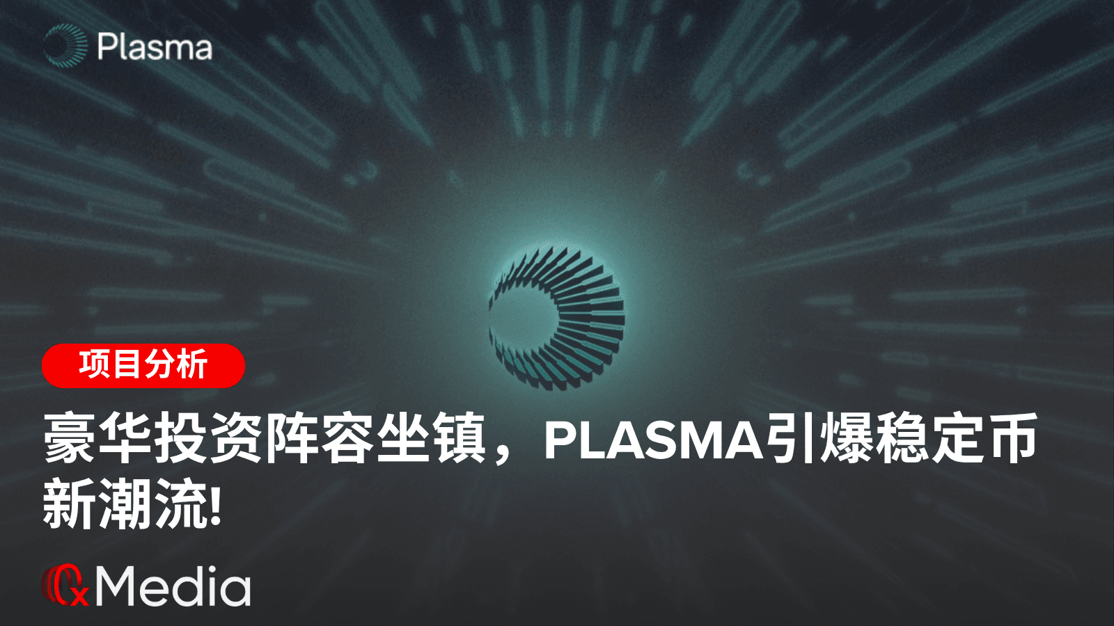 豪华投资阵容坐镇，Plasma引爆稳定币新潮流