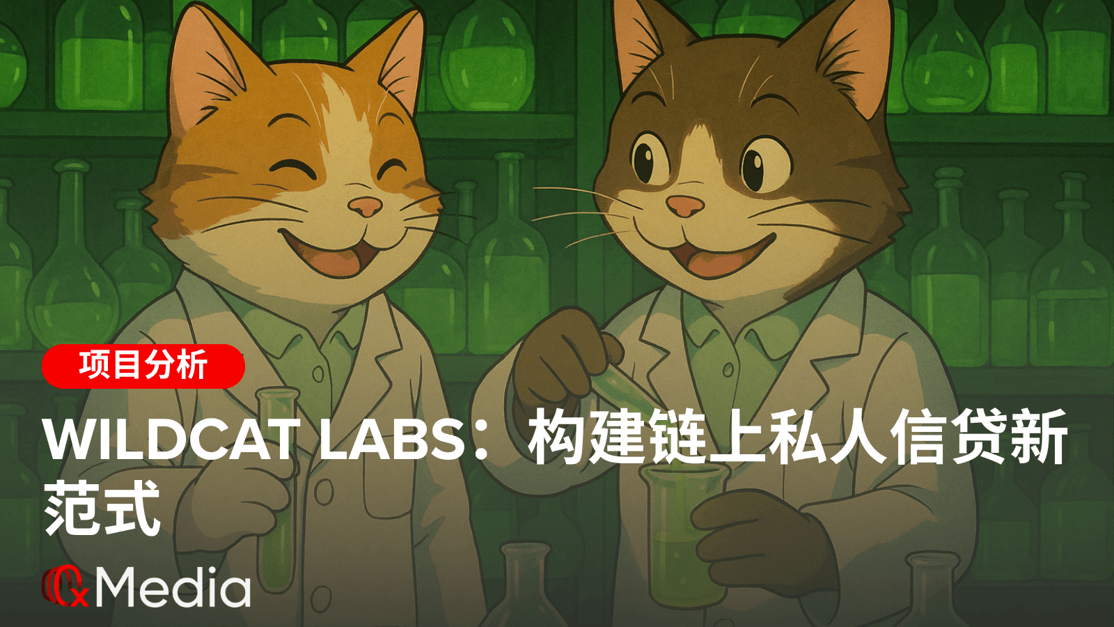 Wildcat Labs：构建链上私人信贷新范式