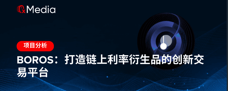 Boros：打造链上利率衍生品的创新交易平台