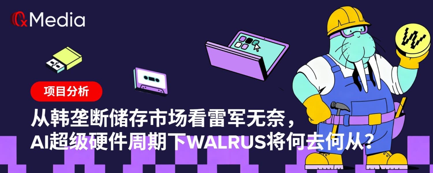 从韩垄断储存市场看雷军无奈，AI超级硬件周期下Walrus将何去何从？