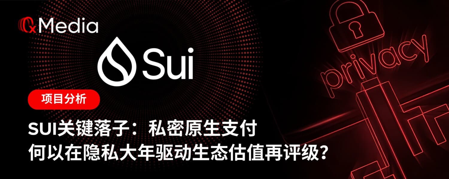 Sui关键落子：私密原生支付何以在隐私大年驱动生态估值再评级？